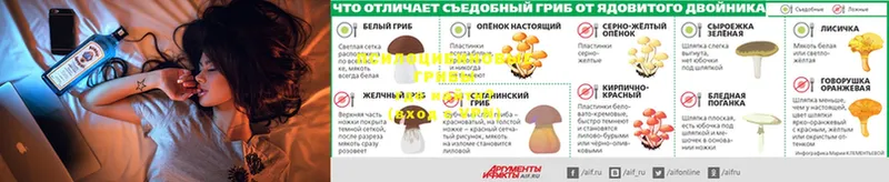 купить наркотики цена  Барнаул  Галлюциногенные грибы мухоморы 